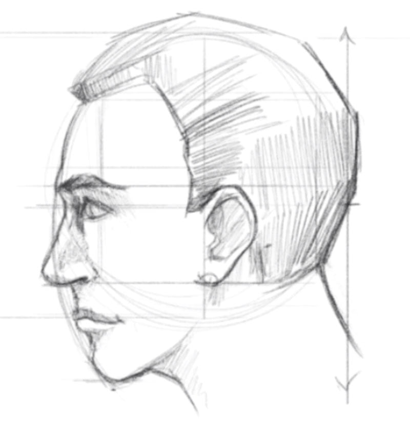 how to draw a face side view step 8 shade hair