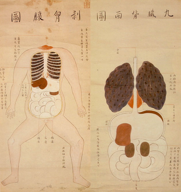 02 ilustraciones anatomicas del periodo edo de japon
