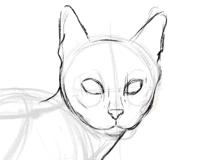 Aprender a dibujar gatos