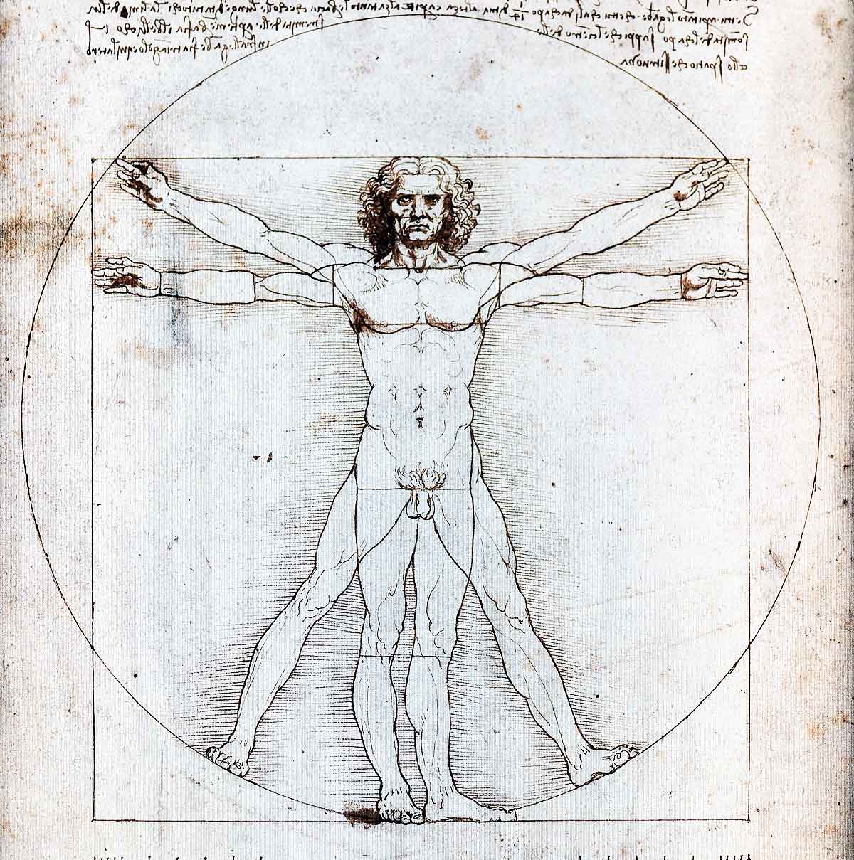 00vitruvian man by leonardo da vinci